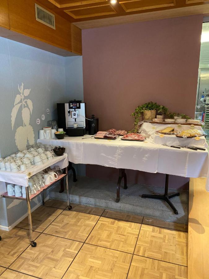 Hotel Alpina Einhorn - Self-Check-In Вольфеншиссен Экстерьер фото